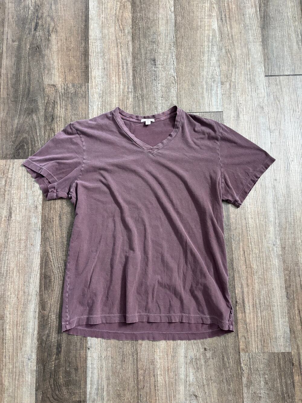 James Perse Standard Blank V-Neck Tee Shirt